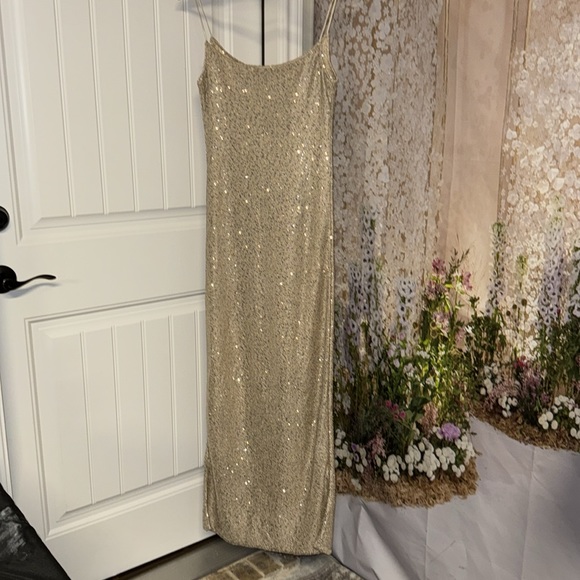 Lovers and Friends Rossa Maxi Dress in Champagne - Picture 6 of 8